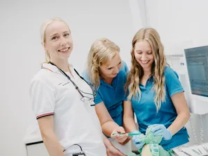 Zahnärztin und Assistentinnen im Behandlungsraum
